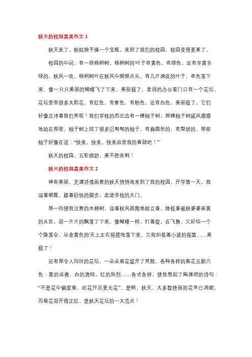 秋天的校园原来这么美记叙文