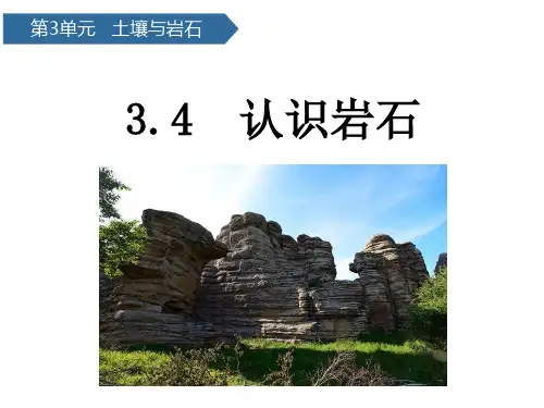 青岛版科学三年级上册第12课认识岩石 PPT课件