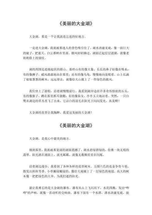 美丽的大金湖作文450