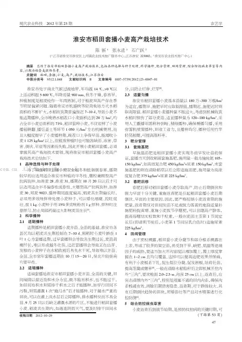 淮安市稻田套播小麦高产栽培技术