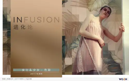 2017-18秋冬色彩流行趋势