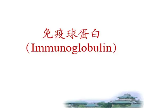 免疫球蛋白的功能区