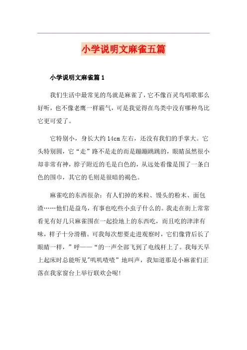 小学说明文麻雀五篇