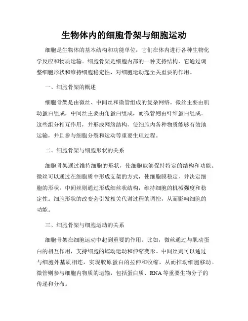 生物体内的细胞骨架与细胞运动