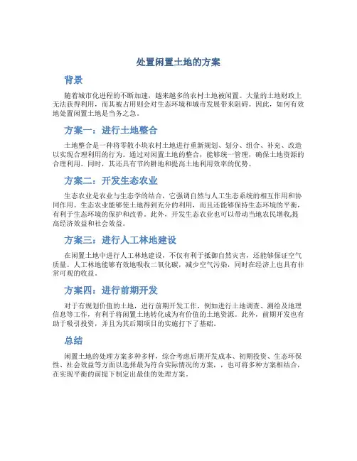 处置闲置土地的方案