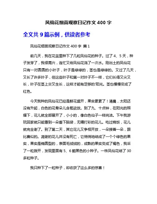 凤仙花细苗观察日记作文400字