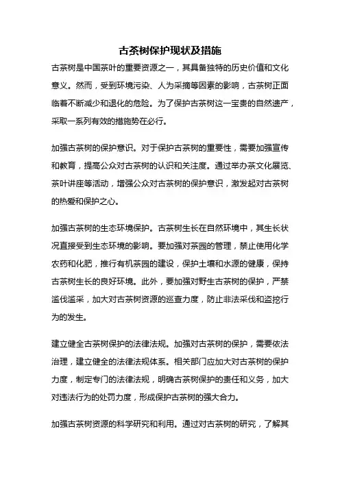 古茶树保护现状及措施