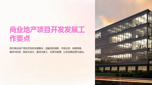 商业地产项目开发发展工作要点