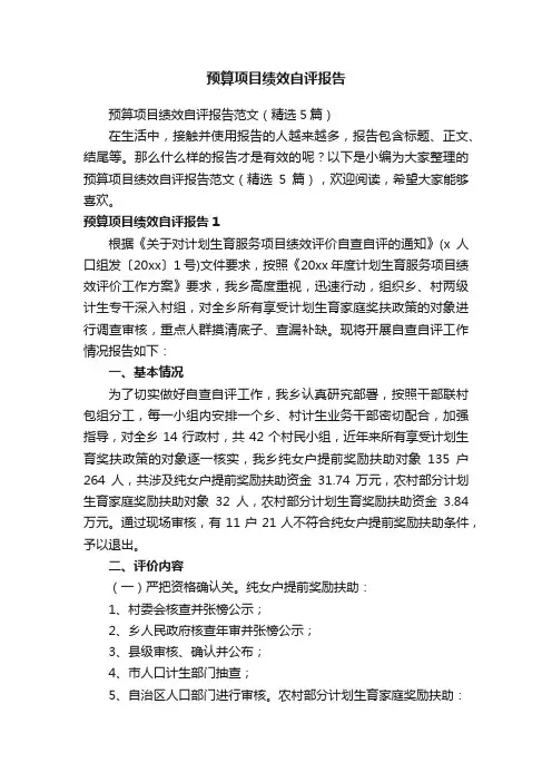 预算项目绩效自评报告范文（精选5篇）
