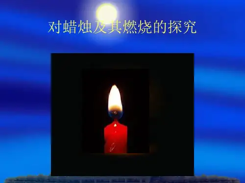 对蜡烛及其燃烧的探究