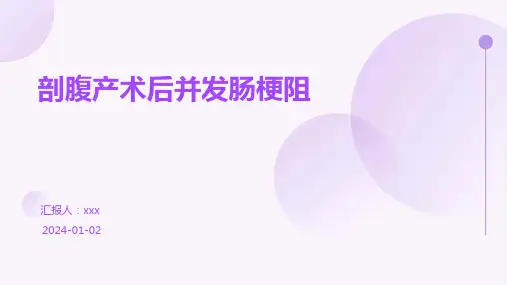剖腹产术后并发肠梗阻PPT课件