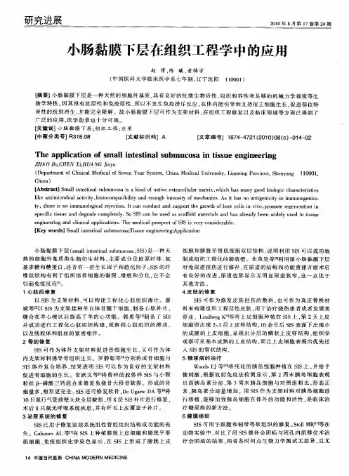 小肠黏膜下层在组织工程学中的应用