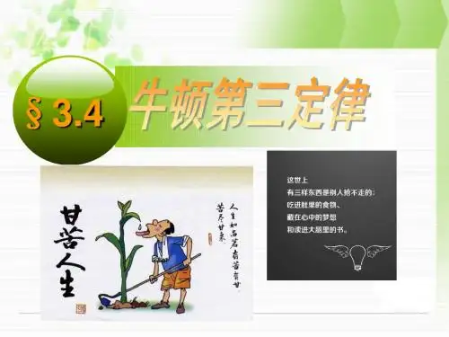 牛顿第三定律
