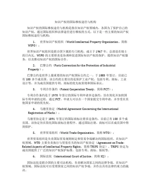 知识产权的国际维权途径与机构