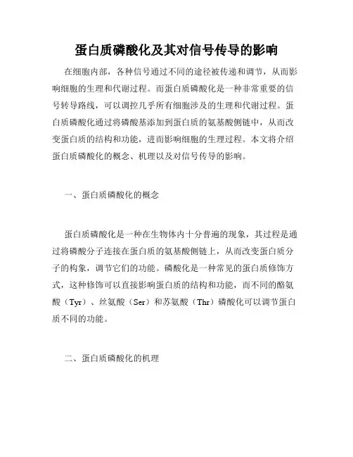 蛋白质磷酸化及其对信号传导的影响