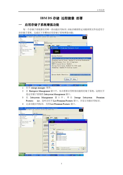 IBM DS存储 远程镜像部署