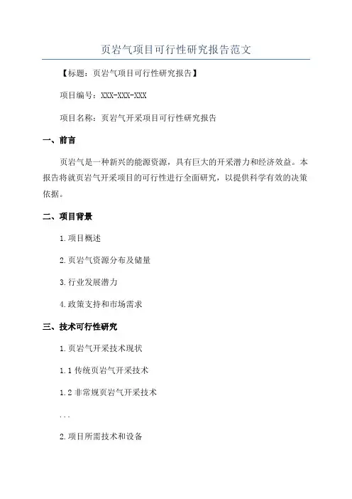 页岩气项目可行性研究报告范文
