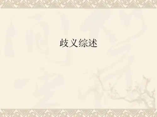 歧义综述 PPT课件