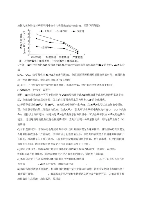 高中生物光合作用大题50道