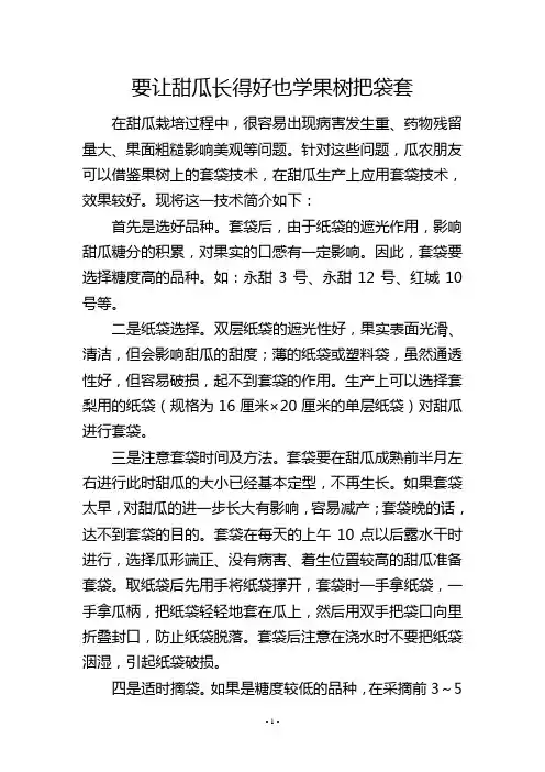 要让甜瓜长得好也学果树把袋套