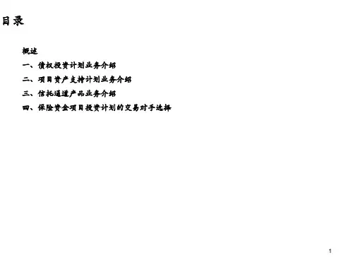 保险资金项目投资计划业务简介