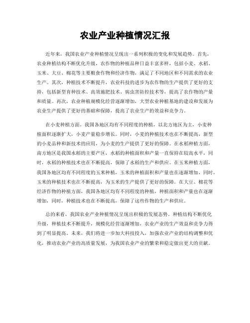 农业产业种植情况汇报