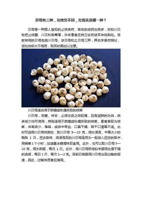 贝母有三种，功效各不同，究竟该选哪一种？