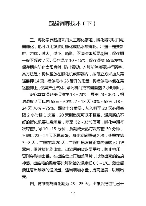 鹧鸪饲养技术(下)
