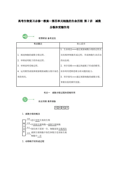 高考生物复习必修一教案—第四单元细胞的生命历程 第2讲 减数分裂和受精作用