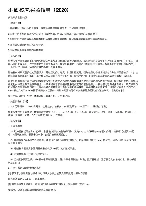 小鼠-缺氧实验指导（2020）