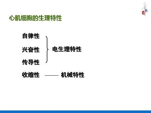 脉管系统—心脏生理(人体解剖生理学)