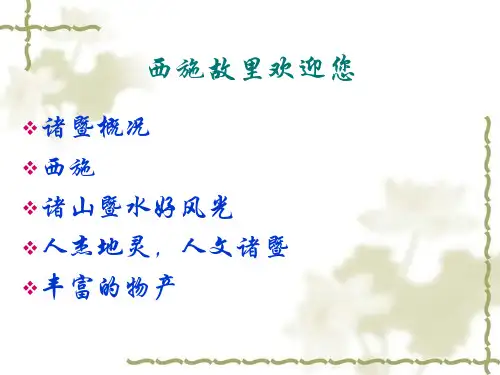 作业：我的家乡——浙江诸暨共128页文档