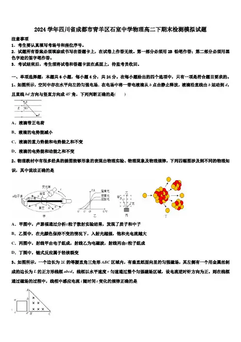 2024学年四川省成都市青羊区石室中学物理高二下期末检测模拟试题(含解析)