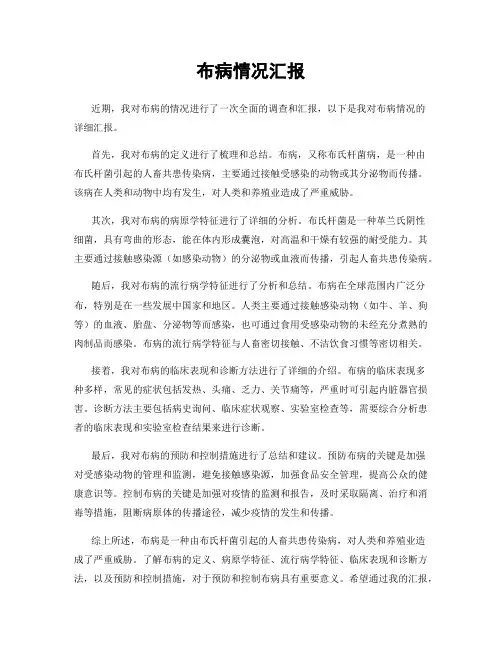 布病情况汇报