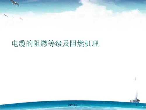 电缆的阻燃等级及阻燃机理  ppt课件