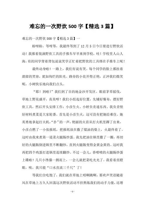 难忘的一次野炊500字【3篇】