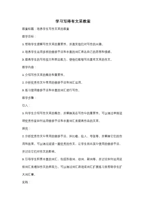 学习写得有文采教案