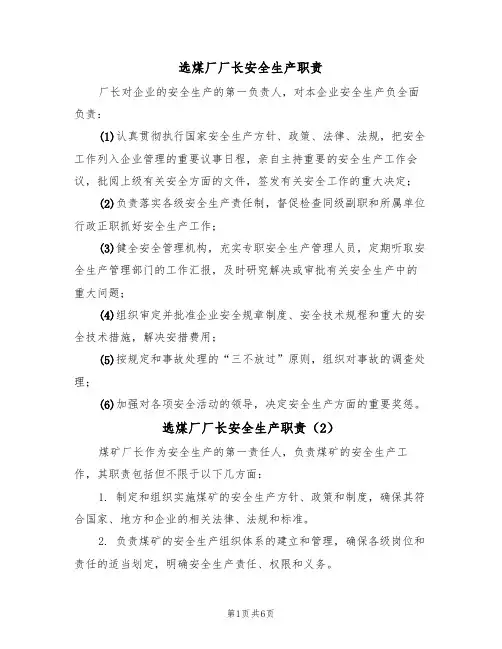 选煤厂厂长安全生产职责（5篇）