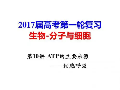 ATP的主要来源  细胞呼吸