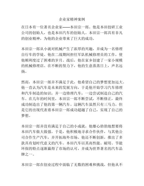 企业家精神案例