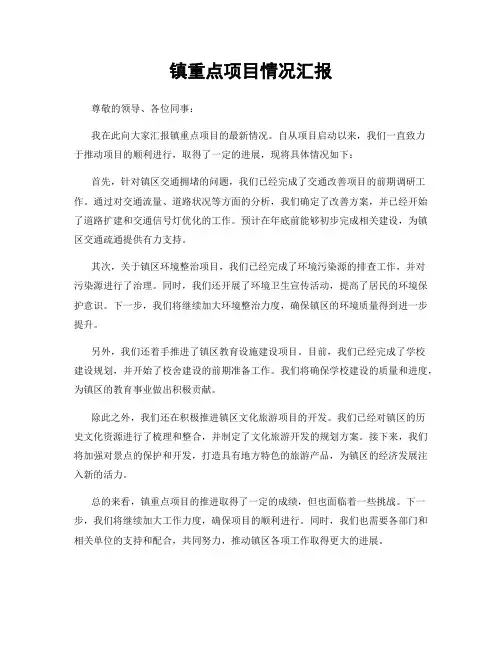 镇重点项目情况汇报