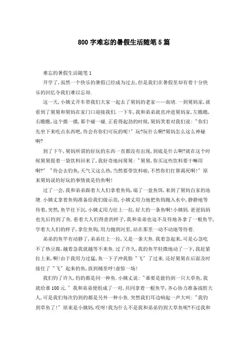 800字难忘的暑假生活随笔5篇