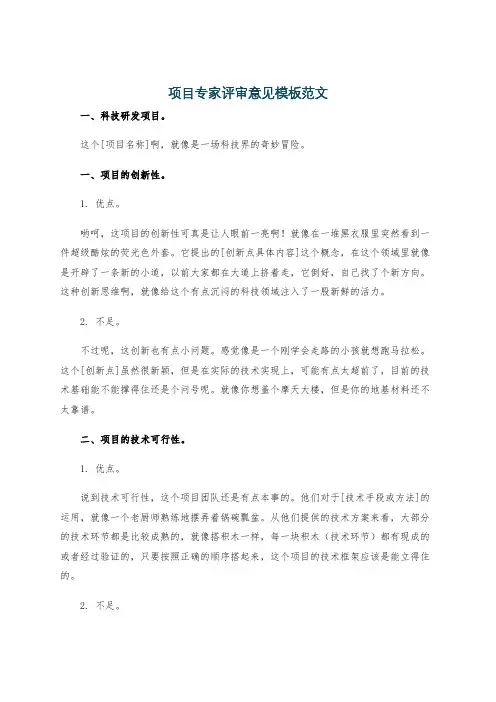 项目专家评审意见模板范文