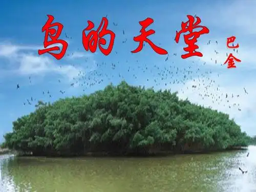 人教新课标四上《鸟的天堂》质课课件一等奖