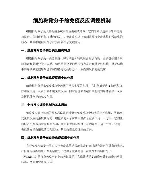 细胞粘附分子的免疫反应调控机制