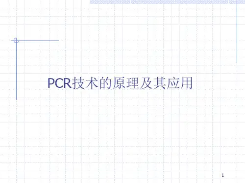 PCR技术的原理与应用ppt课件