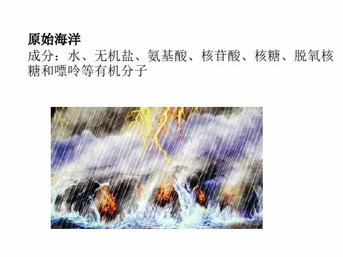 2.2 细胞中的无机物--课件【新教材】人教版高中生物必修一(共29张PPT)