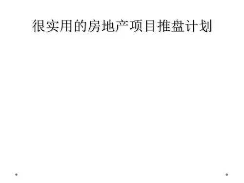 很实用的房地产项目推盘计划
