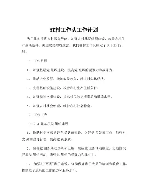 驻村工作队工作计划