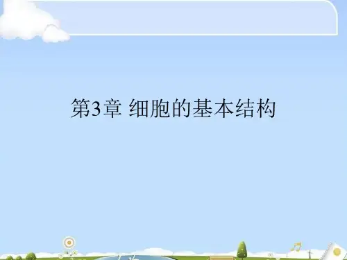 细胞的基本结构ppt11 人教课标版